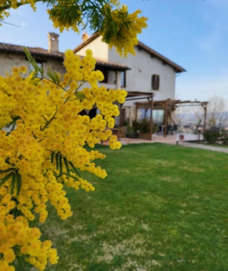 Casale Mille E Una Notte Villa Perugia Exterior foto